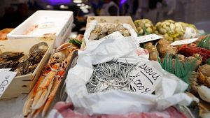 La angula, cra de la anguila, a 1.000 euros el kilo
